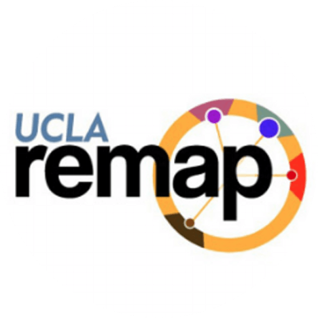 remap icon